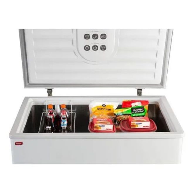 FREEZER NEBA F310 305LTS