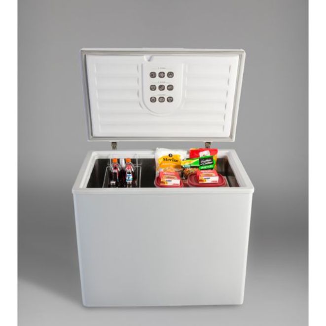 FREEZER NEBA F310 305LTS